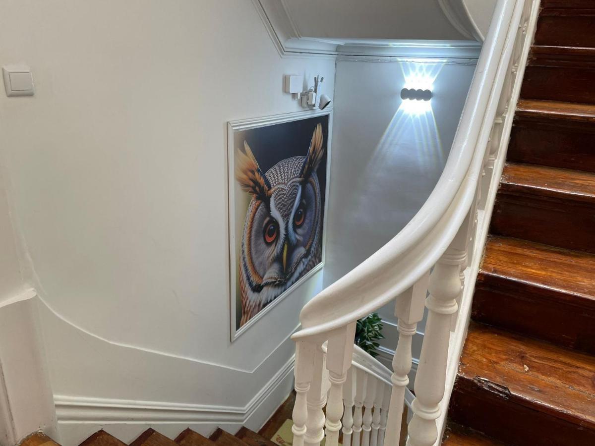Owls Hostel Ildefonso Porto Luaran gambar